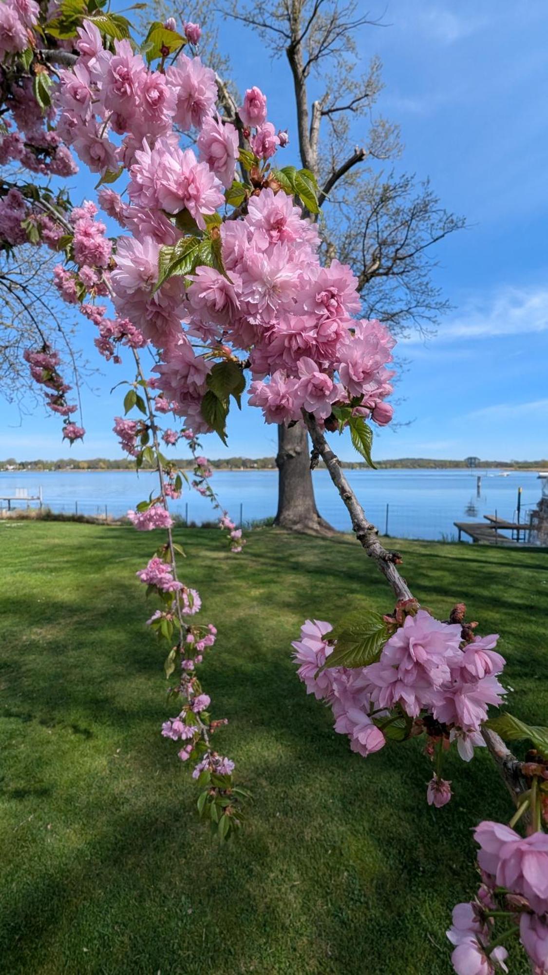 Casa Sul Lago Werder  Zewnętrze zdjęcie